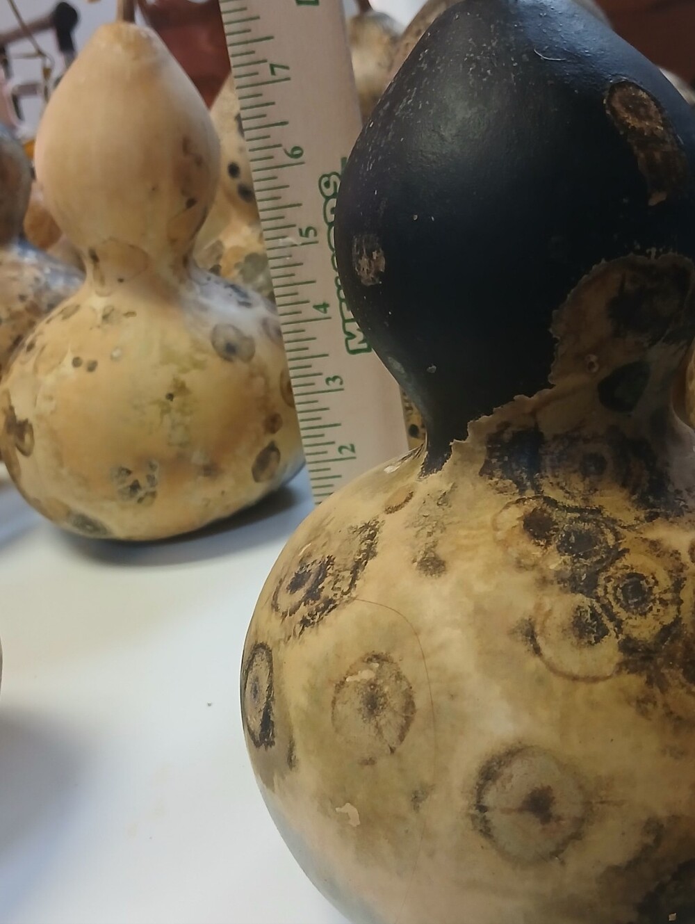Natural Gourd Décor with Earthy Patina..box of 4 Unfinshed Seeds Inside Gourds. - Picture 2 of 4